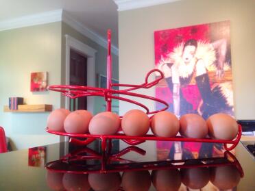 Love our new egg skelter!