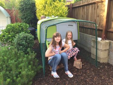 My girls helping set up home for our new feathery girls