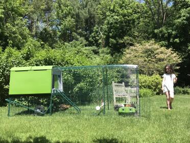 Children love to have pet chickens!