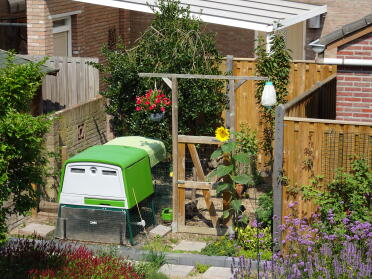 Omlet Green Eglu Cube Large Chicken Coop and Run in Garden