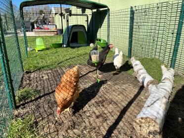 Great flexibility to create a space for your chickens