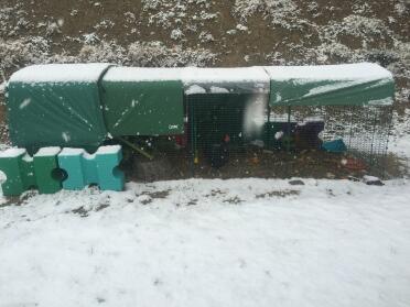 4 metre Snow enclosure with winter cover