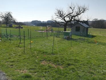 Omlet Green Eglu Cube Large Chicken Coop and Run with Omlet Chicken Fence