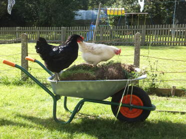 Garden helpers