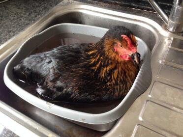 Margret having a bath!