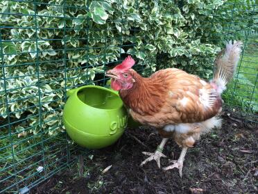 Judy having a tipple!