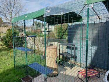 Our new shelves can be installed in the catio