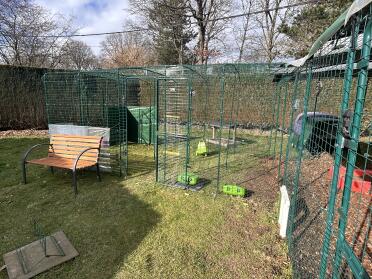 Enough space for our chickens with two enclosures connected at right angles!