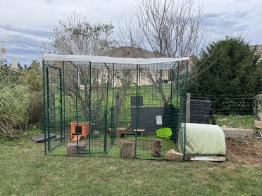 Large enclosure for our rabbits