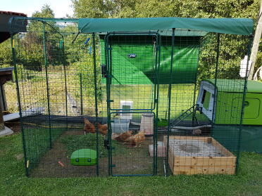 What a great setup for these chickens!