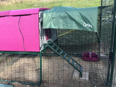 Omlet Purple Eglu Cube Large Chicken Coop and Run connected to Omlet Walk in Chicken Run