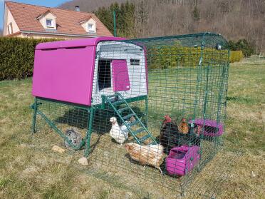 A coop easily movable thanks to its wheels