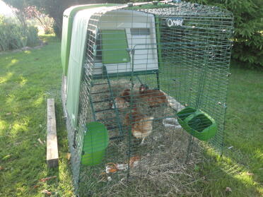 Omlet Eglu Cube Large Chicken Coop and Run