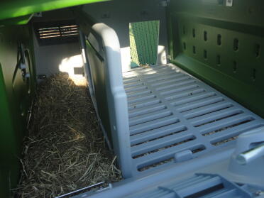 Inside Omlet Eglu Cube Large Chicken Coop