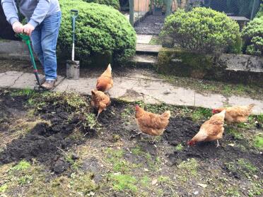 Helping with the gardening