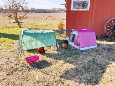 The material of the coop makes cleaning quick and painless