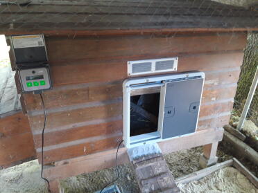 An open grey Autodoor attached to wooden chicken coop.