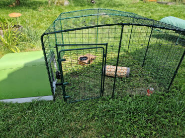 Set up for my guinea pigs