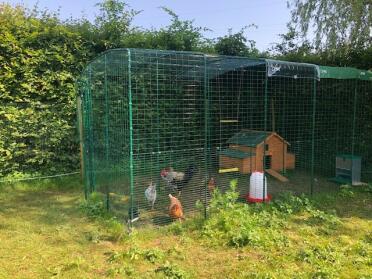 What a lovely home for these hens!