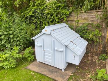 So pleased with the newly painted Lenham chicken house, now ready to be occupied