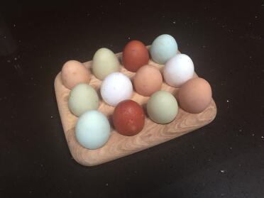 Mixed flock of 8 producing such a variety of eggs 