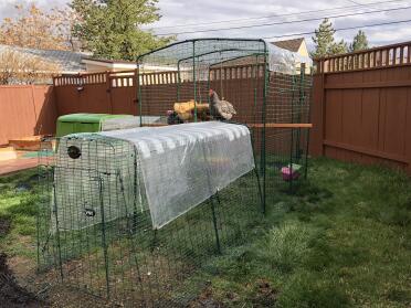 New expanded coop!