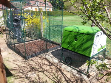 Large hen house Eglu Cube and large chicken pen