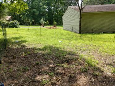 Omlet chicken fencing is great for dividing your garden.