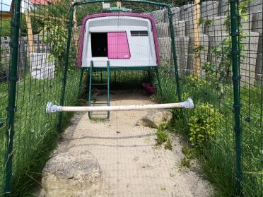 Omlet Purple Eglu Cube Large Chicken Coop and Run with Omlet Universal Chicken Perch