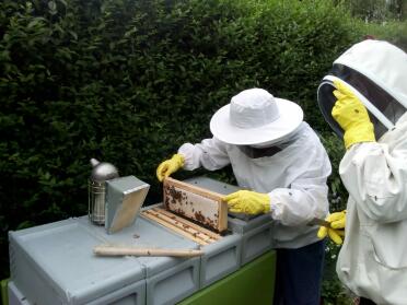 Our bees have done us proud! 