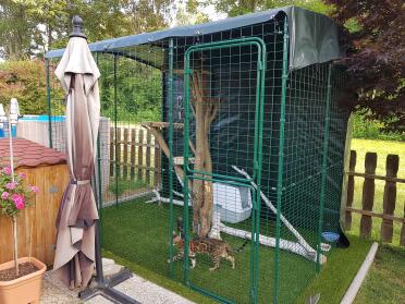 Omlet Outdoor Catio with cat inside