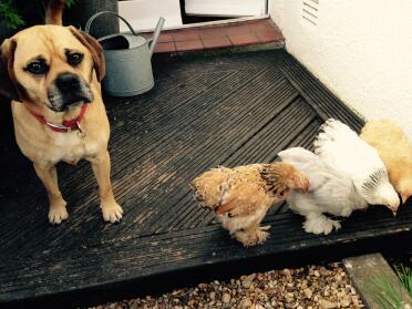 Olly and the ladies.