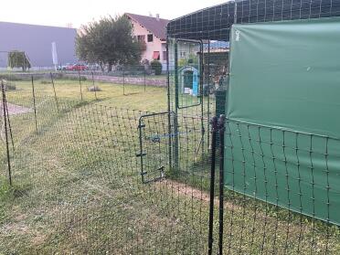 The fencing makes sure my little darlings are safe!