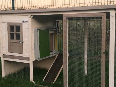 Omlet Green Automatic Chicken Coop Door Attached to Wooden Chicken Coop