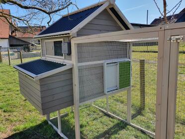 Omlet Green Automatic Chicken Coop Door Attached to Wooden Chicken Coop