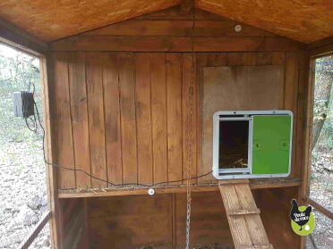 Omlet Green Automatic Chicken Coop Door Attached to Wooden Chicken Coop