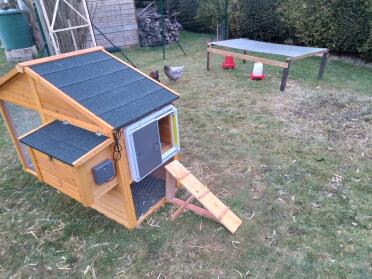 The grey autodoor is a great addition to a wooden coop!