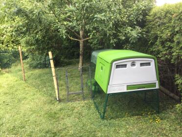 Stable and enclosure are in place. now only the chickens are missing.