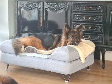 The larger bed is great for larger breeds
