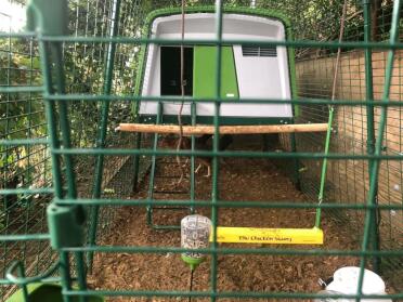 Used terraces and matting underneath to box it to help keep out predators and rats.  