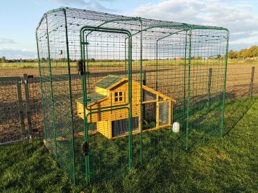 Wooden Chicken Coop in Omlet Walk in Chicken Run