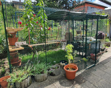 Omlet cat enclosure with entrance veranda