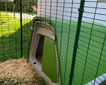 Omlet Green Eglu Go Rabbit Hutch connected to Omlet Walk in Rabbit Run