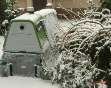 The girls beautifully packed, for the last flakes !