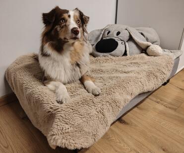 Chill out on my new bed!