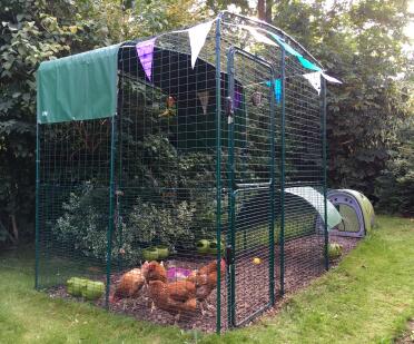 The ladies in their swanky pad, complete with shade/shelter