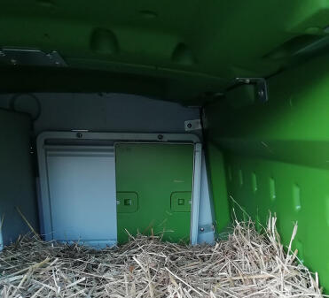 Inside Omlet Eglu Cube Large Chicken Coop with Omlet Automatic Chicken Coop Door