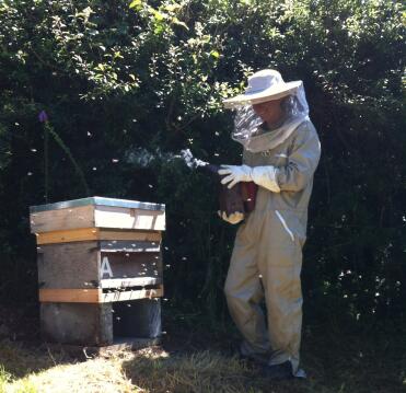 Happy beekeeper with happy bees!