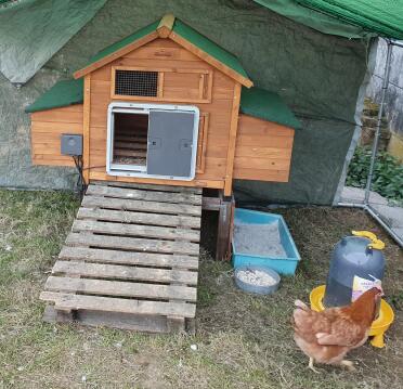 Omlet Grey Automatic Chicken Coop Door Attached to Wooden Chicken Coop