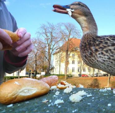 Fresh bread is such a treat!